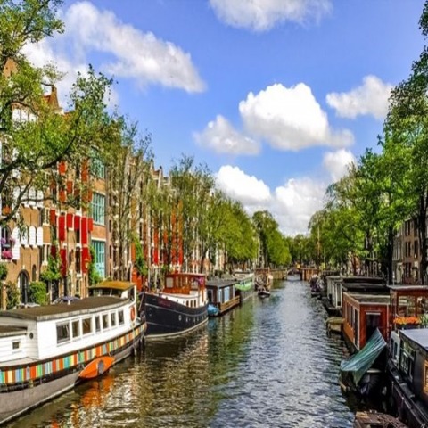 รับแปลภาษาเนเธอร์แลนด์